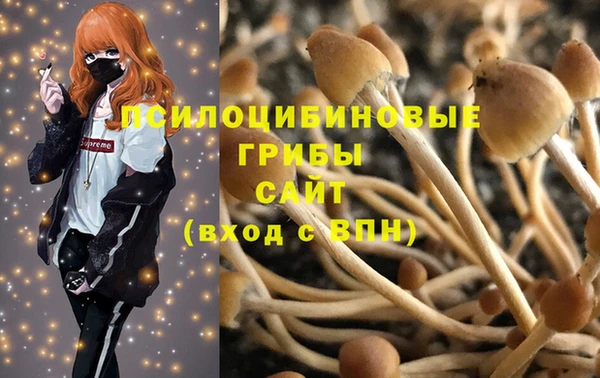 а пвп мука Абаза