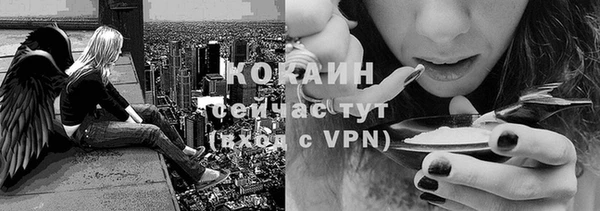ешки Алзамай