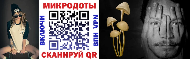 Галлюциногенные грибы мицелий  Талдом 